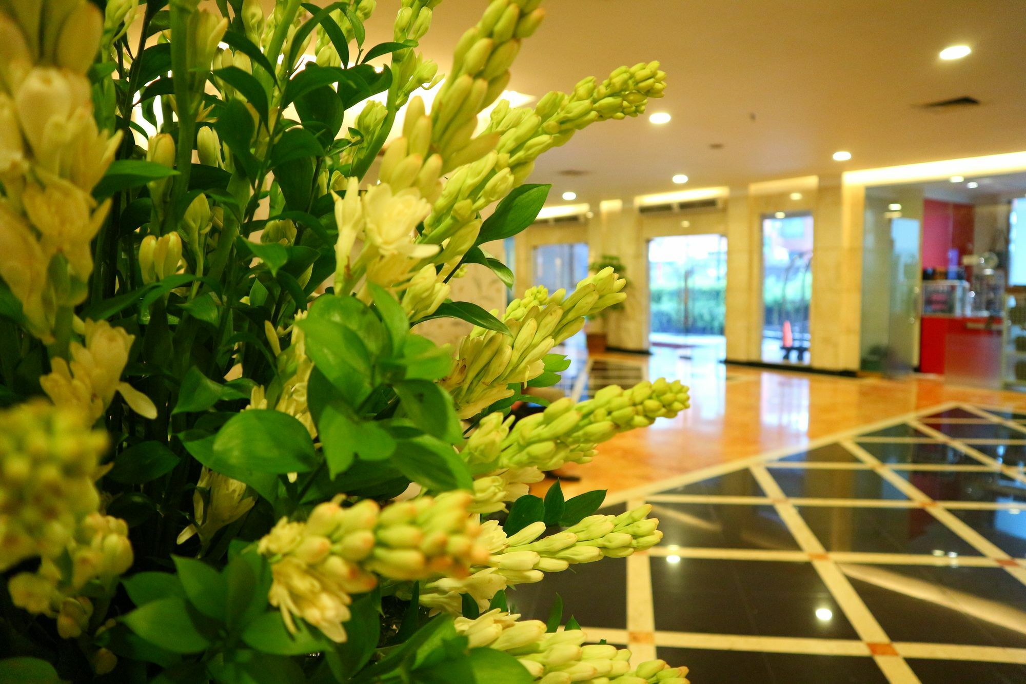 Hotel Horison Arcadia Mangga Dua Yakarta Exterior foto